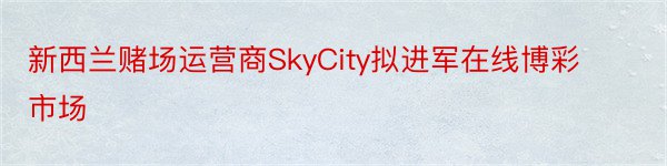 新西兰赌场运营商SkyCity拟进军在线博彩市场