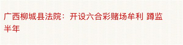 广西柳城县法院：开设六合彩赌场牟利 蹲监半年