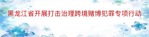黑龙江省开展打击治理跨境赌博犯罪专项行动