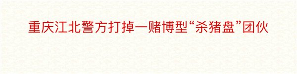 重庆江北警方打掉一赌博型“杀猪盘”团伙