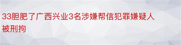 33胆肥了广西兴业3名涉嫌帮信犯罪嫌疑人被刑拘