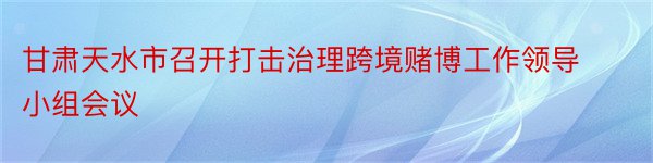甘肃天水市召开打击治理跨境赌博工作领导小组会议